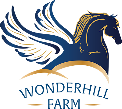 Wonderhill Farm Egg-stravaganza | Murad Auctions